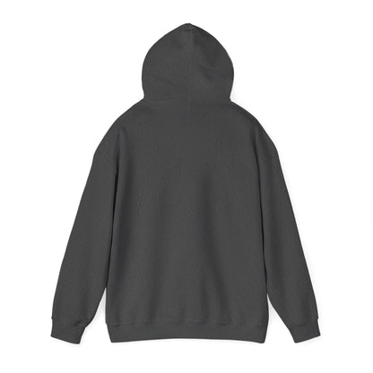 Biblical Soldier with Flag hoodie | Greater Love John 15:13 graphic