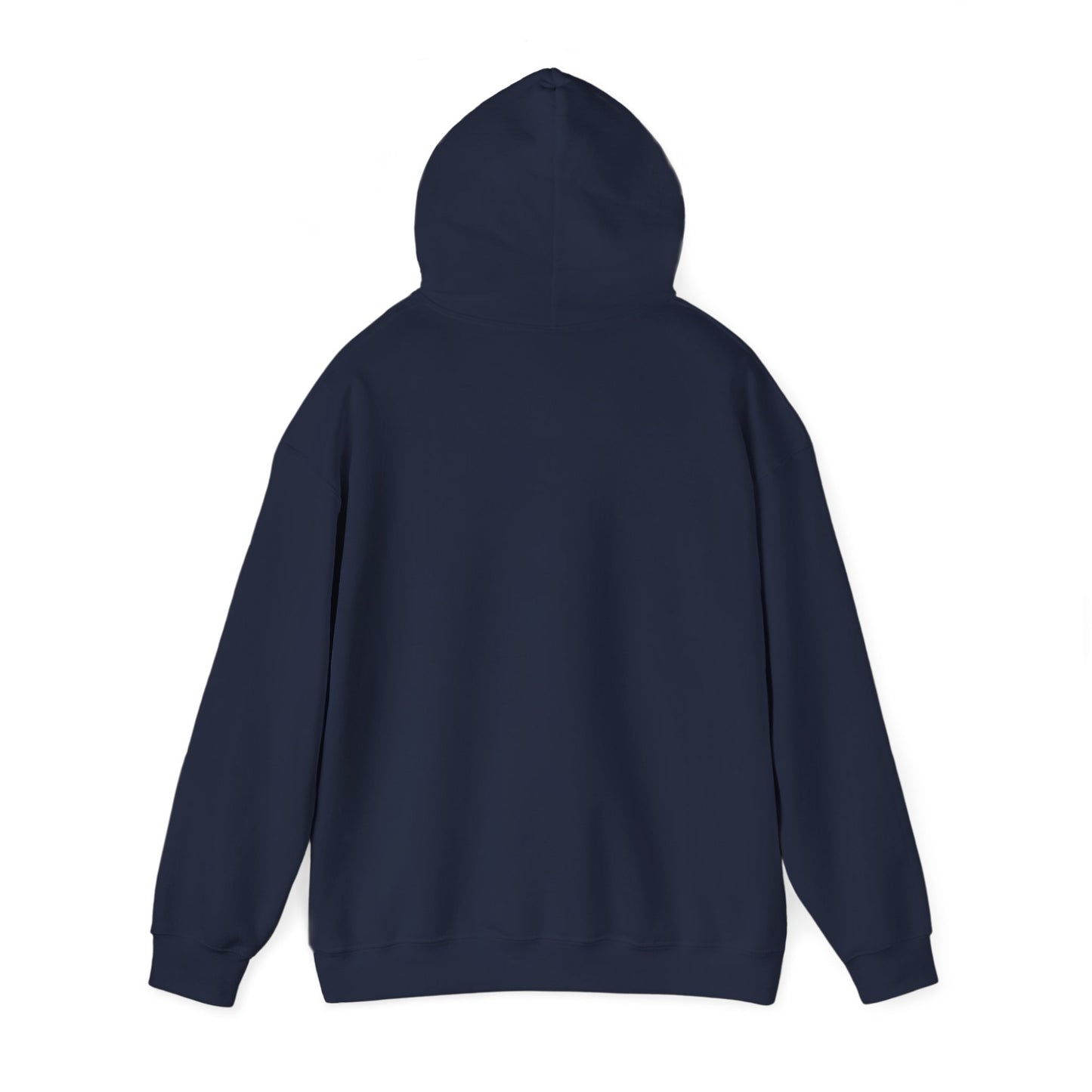 America Legacy Flag print Hoodie | 1776 2026 Patriotic Flag Sweatshirt