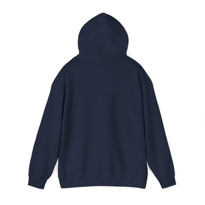 America Legacy Flag print Hoodie | 1776 2026 Patriotic Flag Sweatshirt